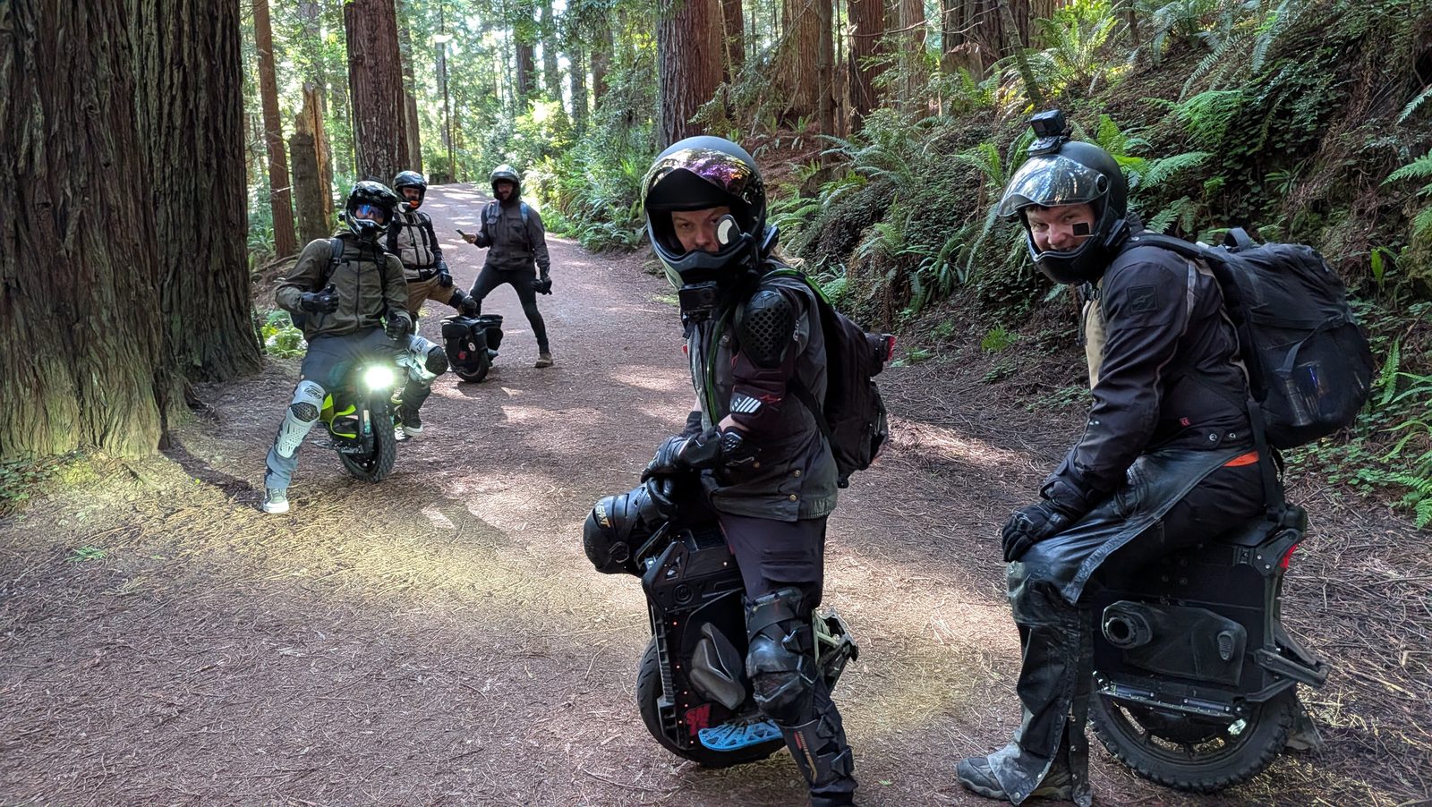 Five riders on electric unicycles pause on a redwood forest road, all in full-face helmets, armoured jackets and knee protection.