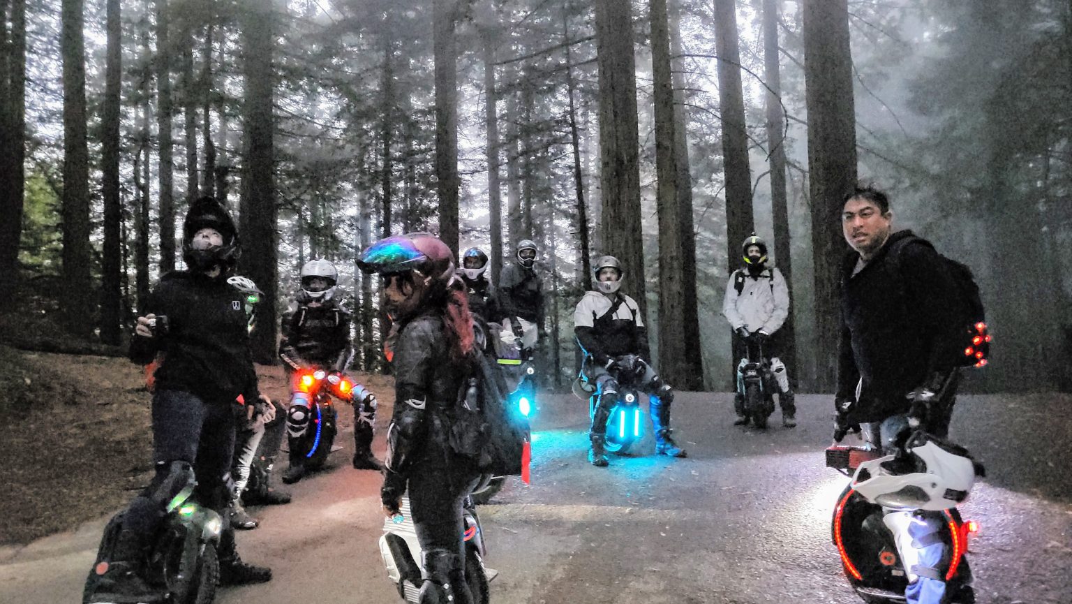 A pack of geared-up electric unicycle riders pausing on a foggy redwood forest road, wheels glowing, at Westwheel 4.